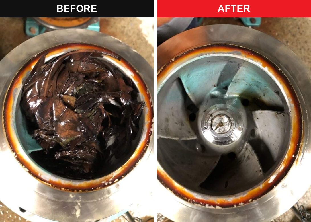 Pump impeller blocked with leaves and debris, then cleared